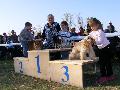 2008.10.19. Szentes, gyerek-kutya pr II. hely Rolika s Szimba